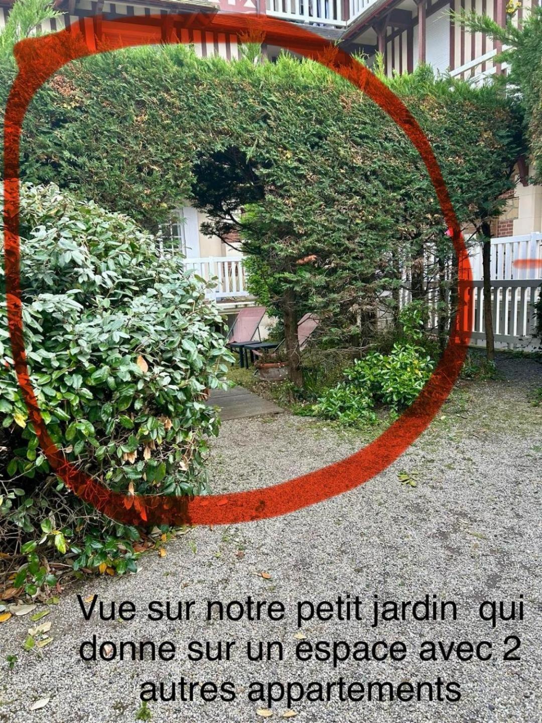 Petit Souplex Dans L'hypercentre De 80 M De La A Pied Cabourg